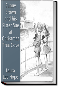 Bunny Brown and His Sister Sue at Christmas Tree Cove | Laura Lee Hope